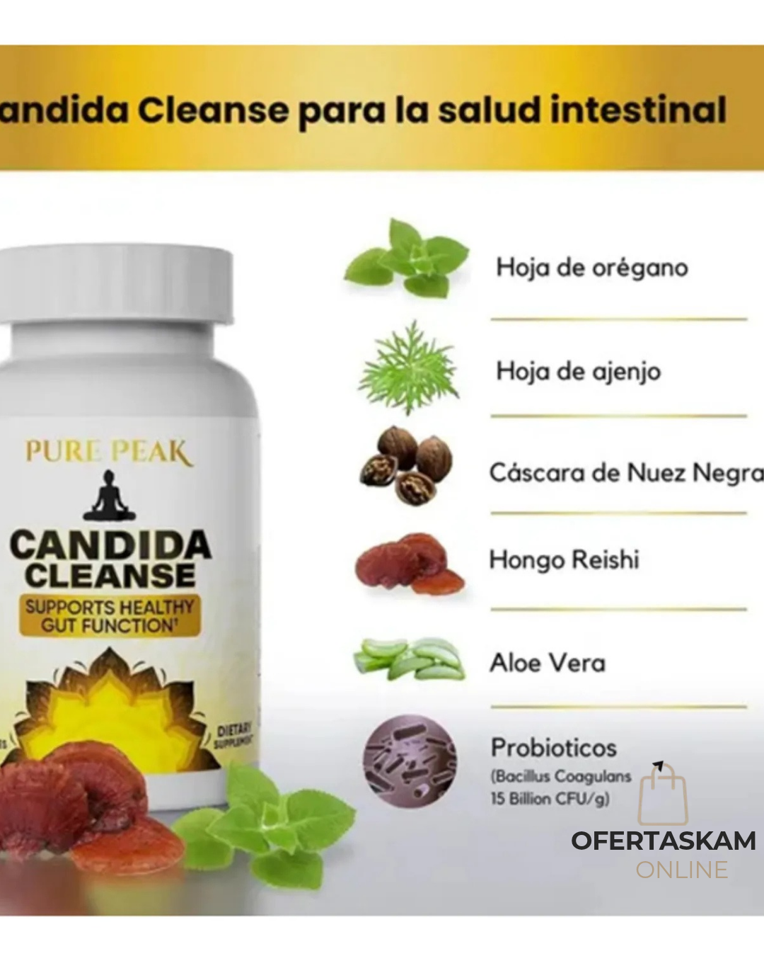 CANDIDA CLEANSE SALUD INTESTINAL